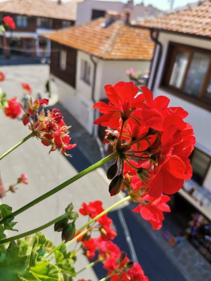 Guest Rooms Melsambria ネセバル エクステリア 写真