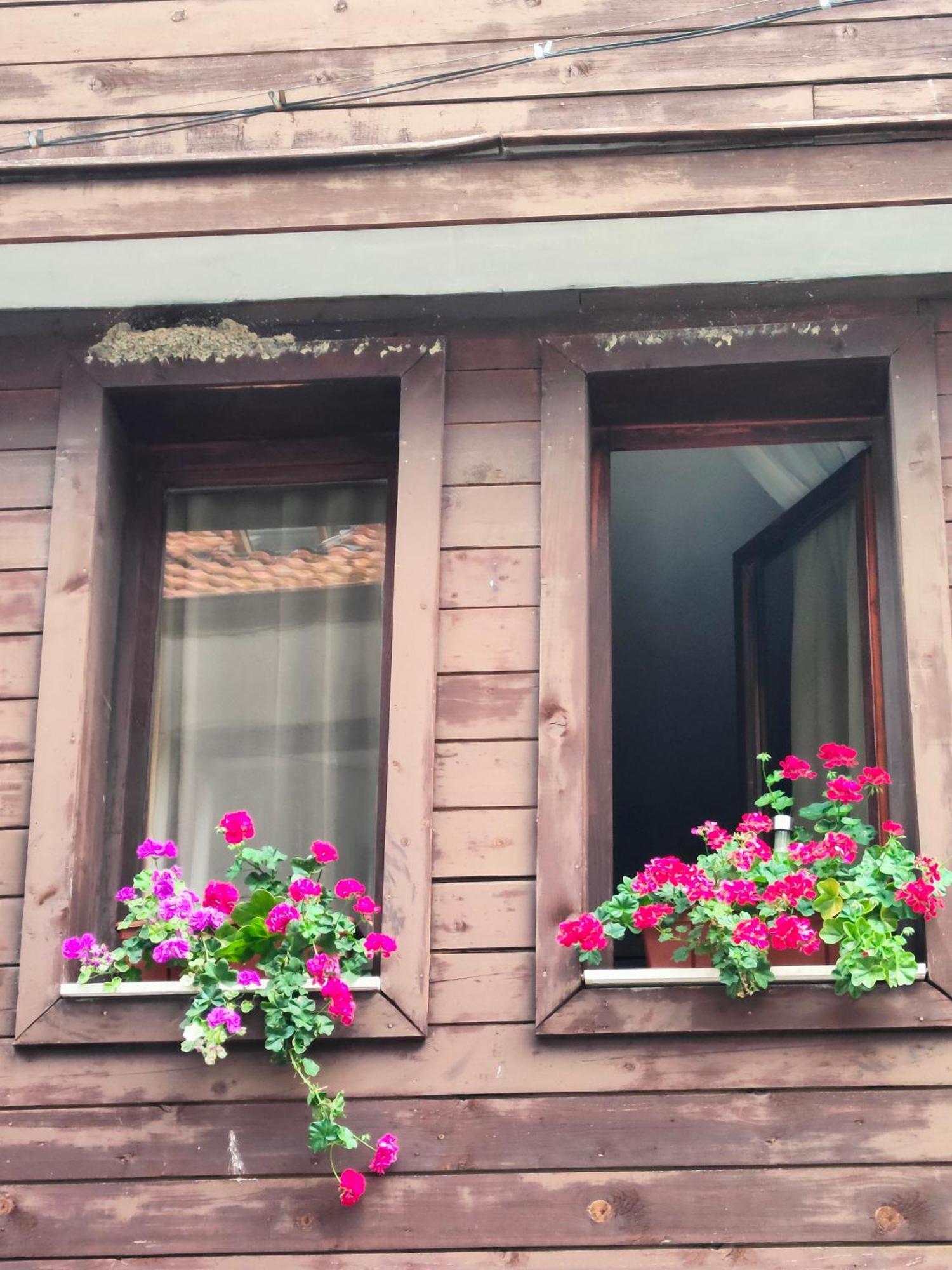 Guest Rooms Melsambria ネセバル エクステリア 写真